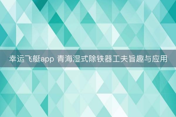 幸运飞艇app 青海湿式除铁器工夫旨趣与应用