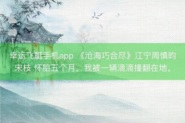 幸运飞艇手机app 《沧海巧合尽》江宁周慎昀宋枝 怀胎五个月，我被一辆滴滴撞翻在地。